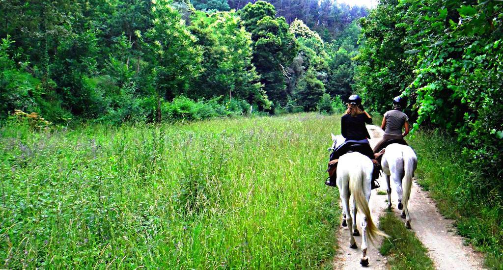 Quinta Lamosa Agroturismo Аркуш-де-Валдевеш Екстер'єр фото